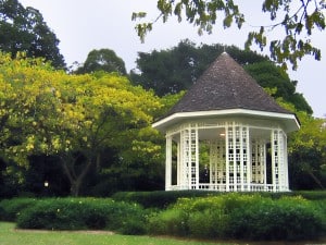 jardins botaniques singapour